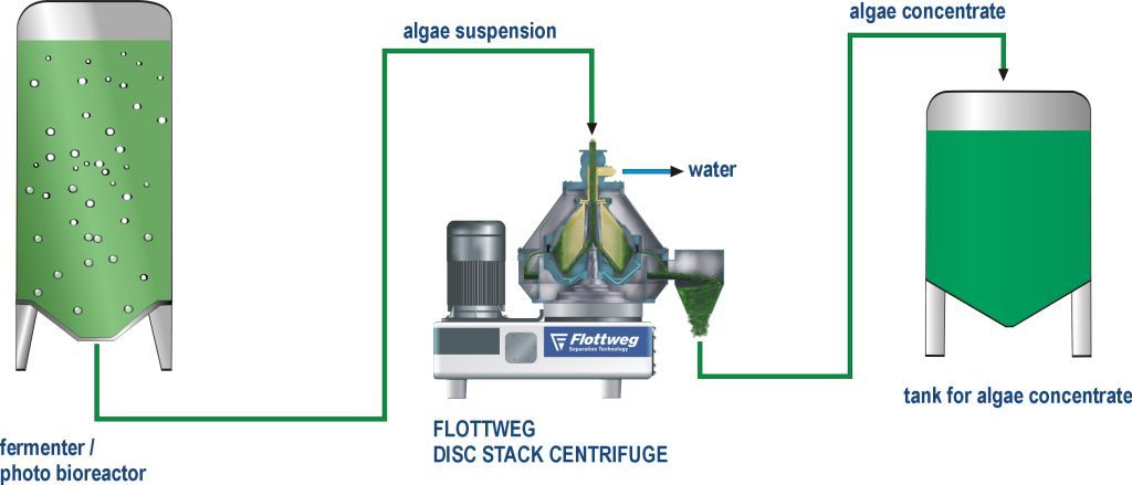 Algenernte_mit_Separator