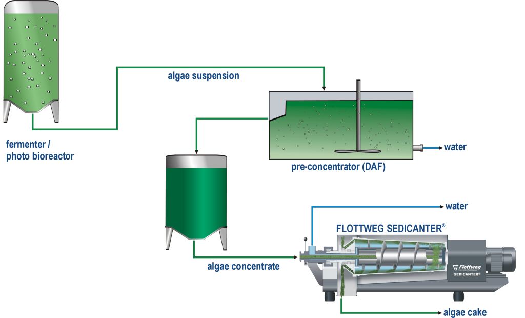 Algenernte_mit_dem_Sedicanter